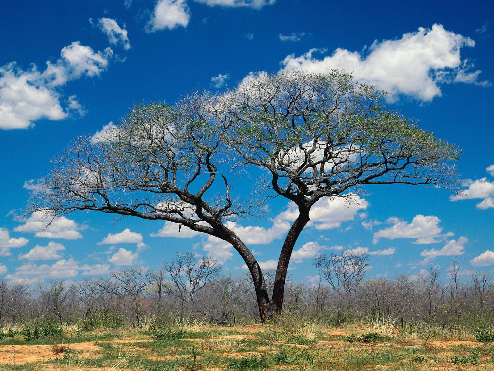 Shakawe Botswana