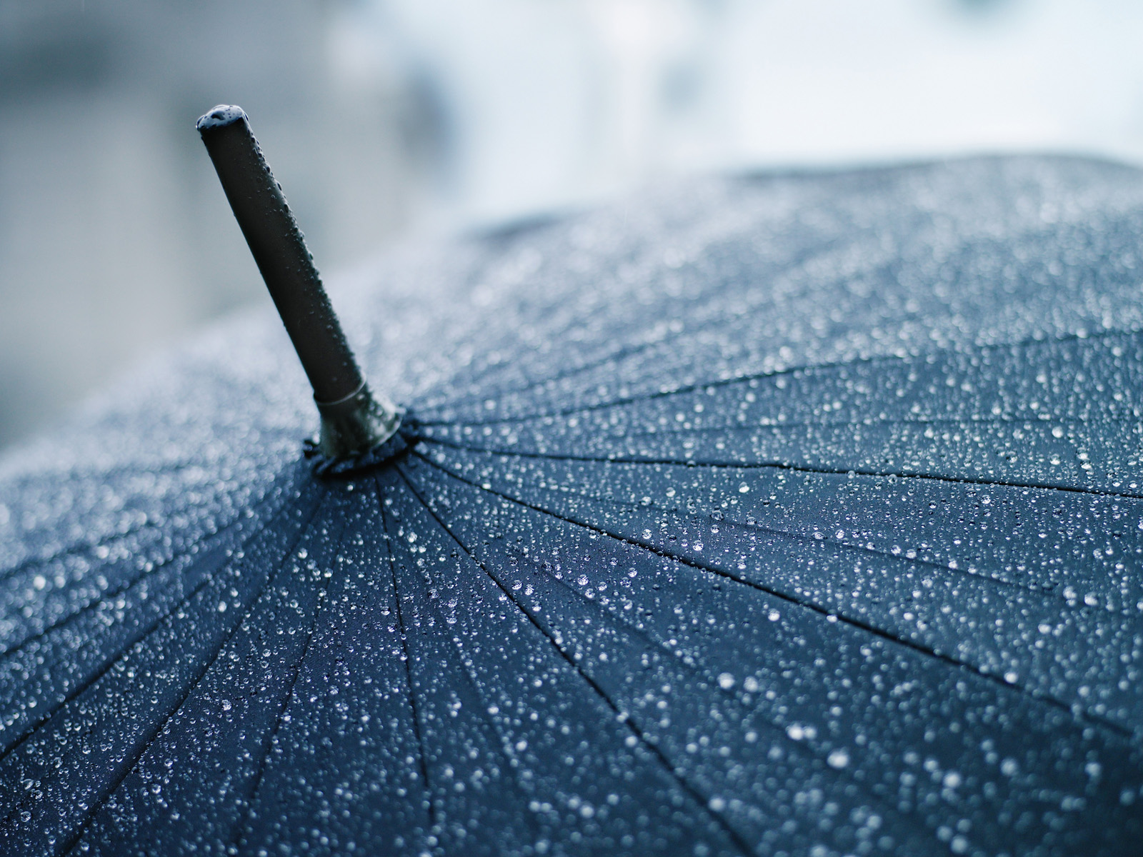 April Showers