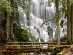 Ramona Falls, Mount Hood Wilderness, Oregon