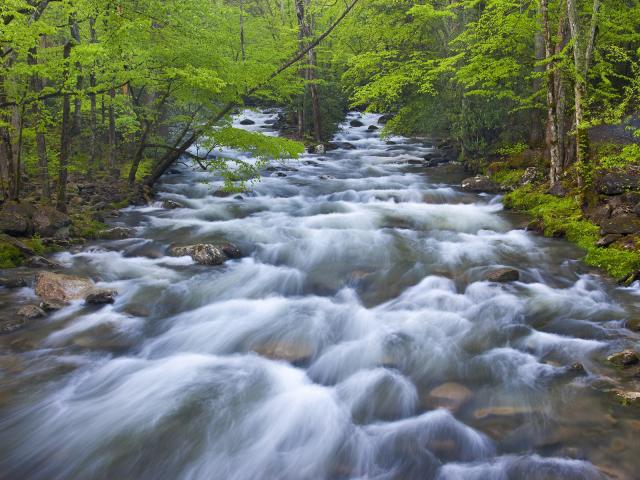 Little Pigeon River, Great Smoky Mountains National Park, Tennessee