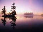 Loons Swimming on Gaskin Lake at Sunrise, Minnesota