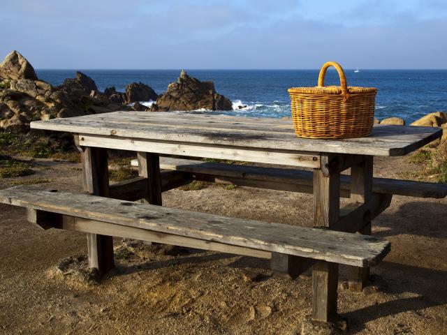 Picnic by the Pacific, San Francisco, California