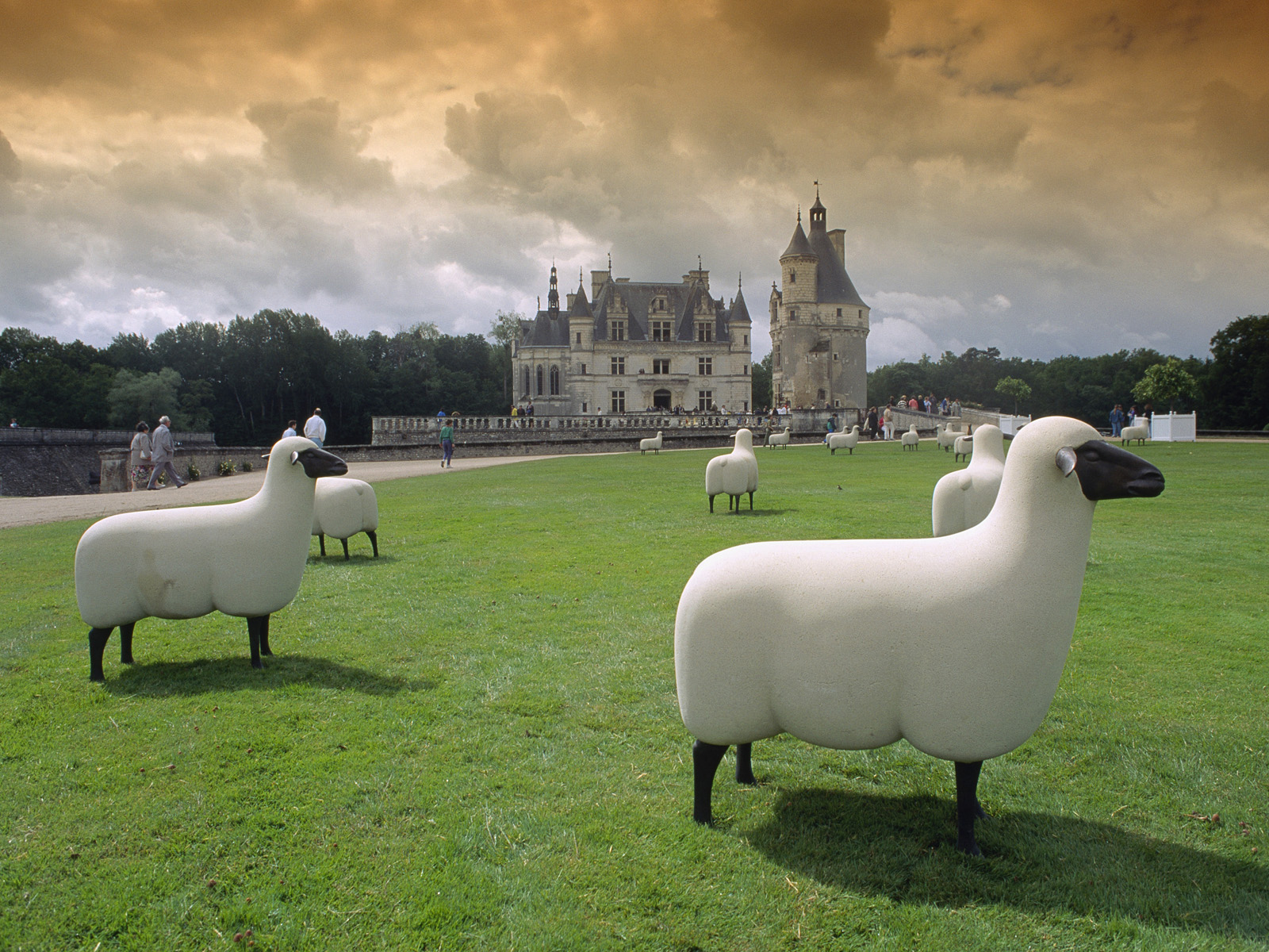 Sheep Sculptures, Chenonceau Castle, France