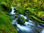 Gortan Creek, Hood River County, Oregon