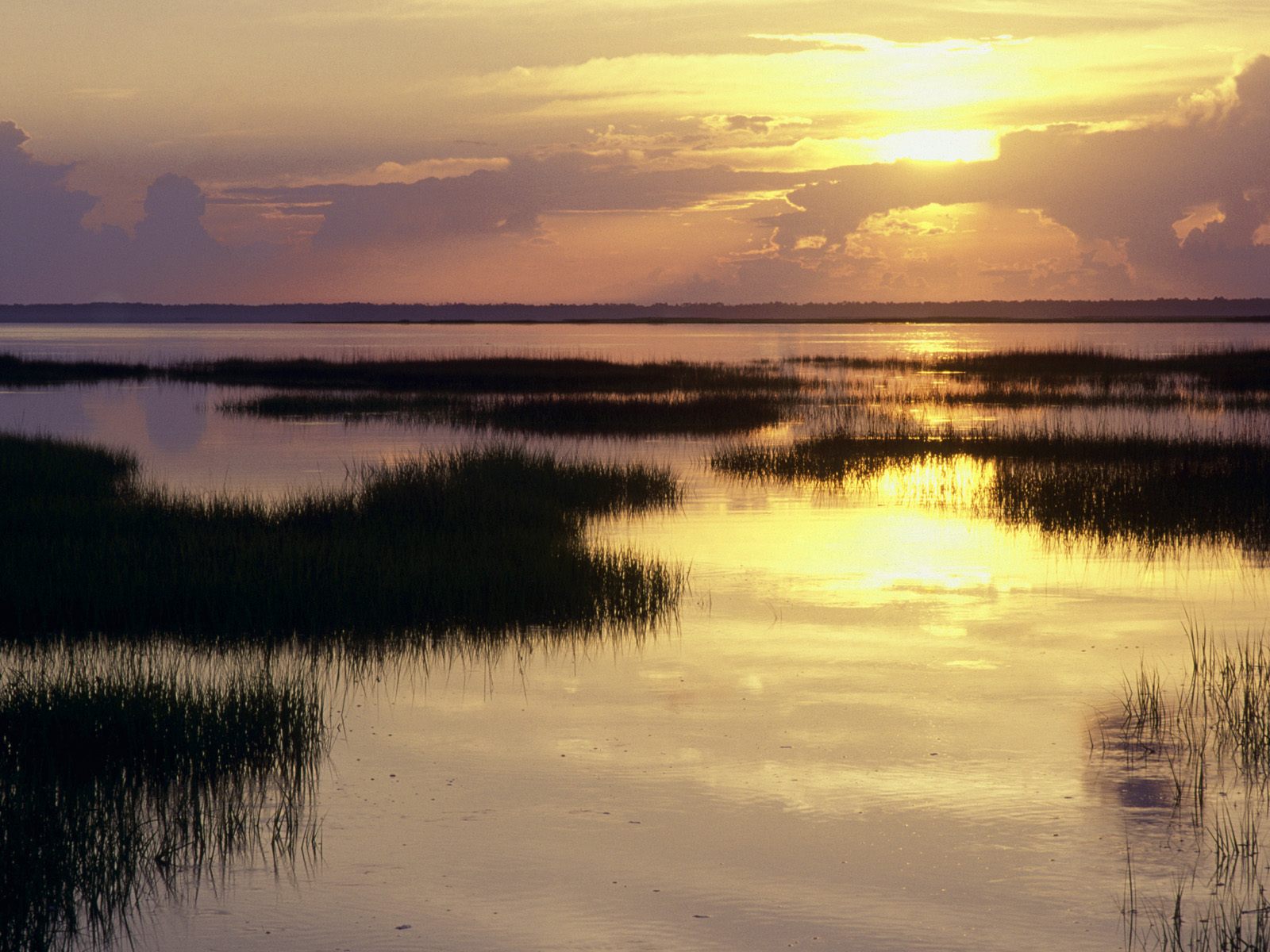 Dawn Breaking, St. Joseph Peninsula, Florida