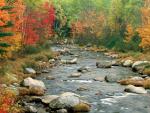 Autumn Colors, White Mountains, New Hampshire