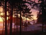 Ruby Beach at Sunset, Olympic National Park, Washington