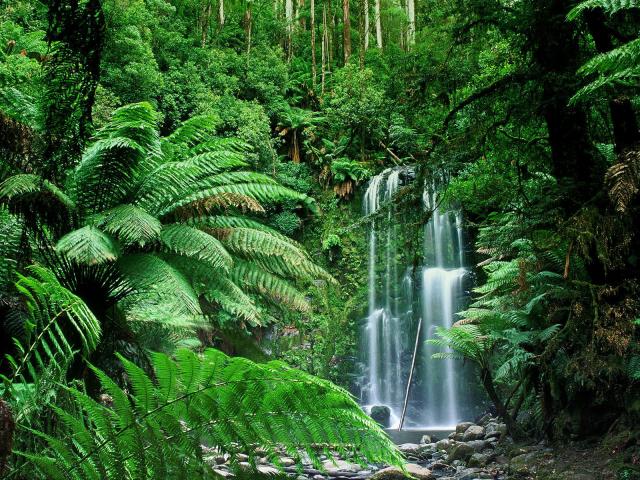 Beauchamp Falls, Victoria, Australia