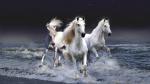 Mystic Horses