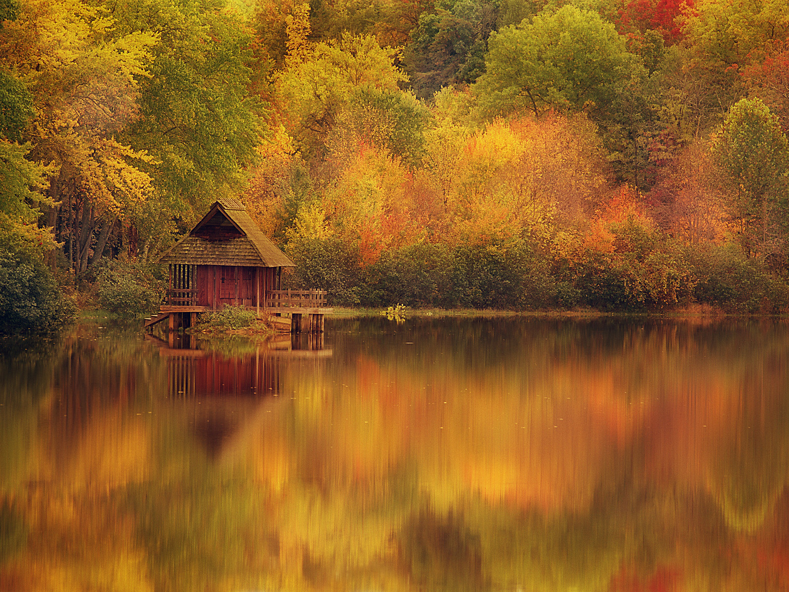Cabin_Retreat_in_Autumn