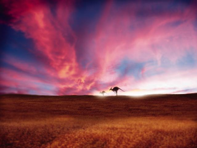 Hopping_Along_the_Horizon_Kangaroos