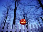 Jack-o-Lantern_on_a_Fence