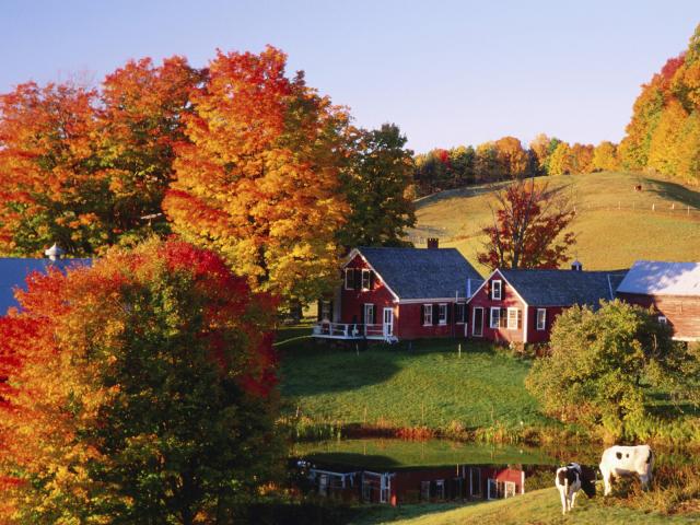 Jennes_Farm_in_Autumn_Vermont