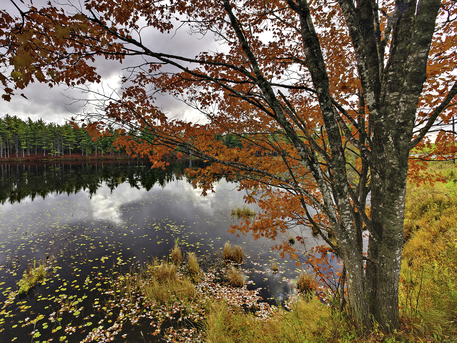 Lakeside_Color_Nova_Scotia_Canada