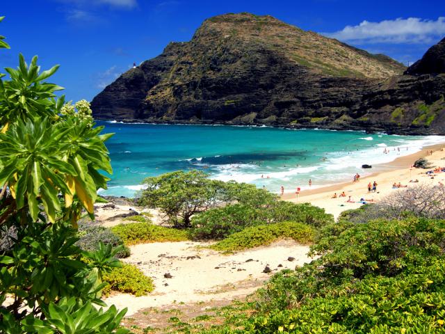 Makapuu_Beach_Park_Oahu_Hawaii