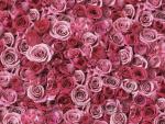 Spirals_of_Love