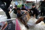 thai_flood_54_009