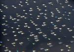 thai_flood_54_031