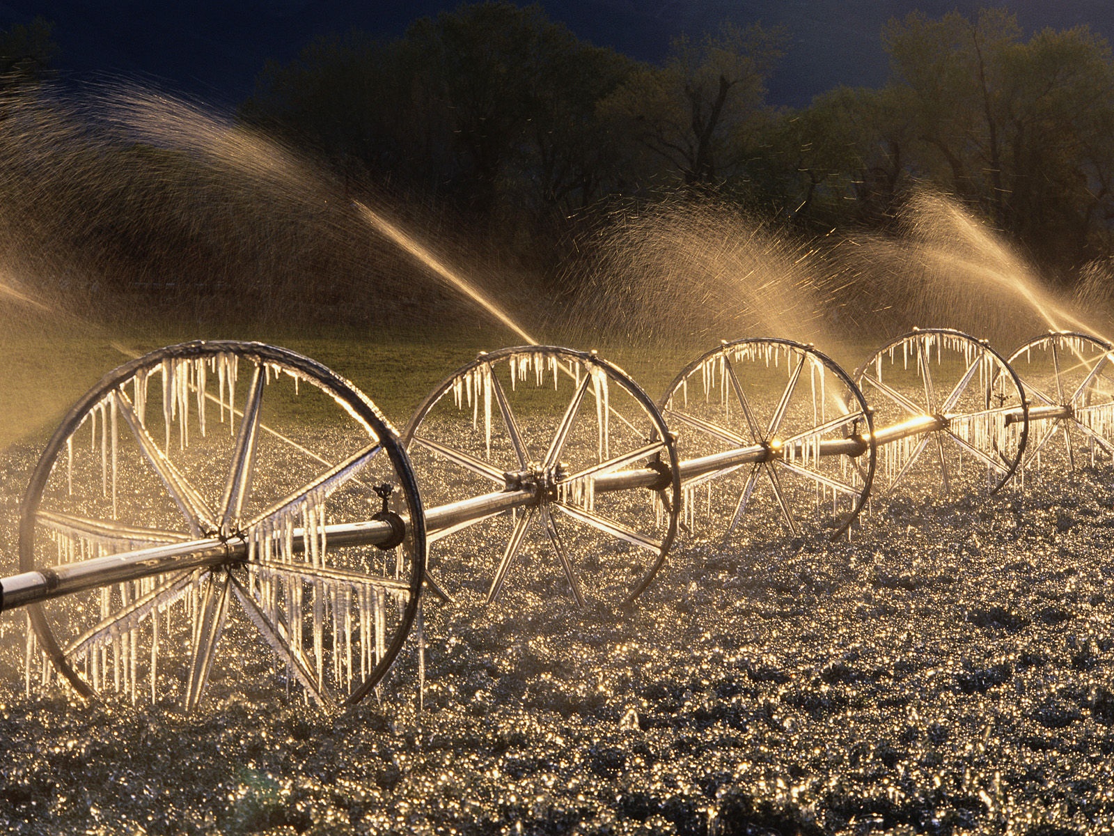 Icy_Irrigation