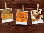 Memories_of_Autumn