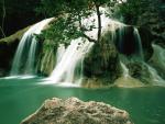 Ouachita_Forest