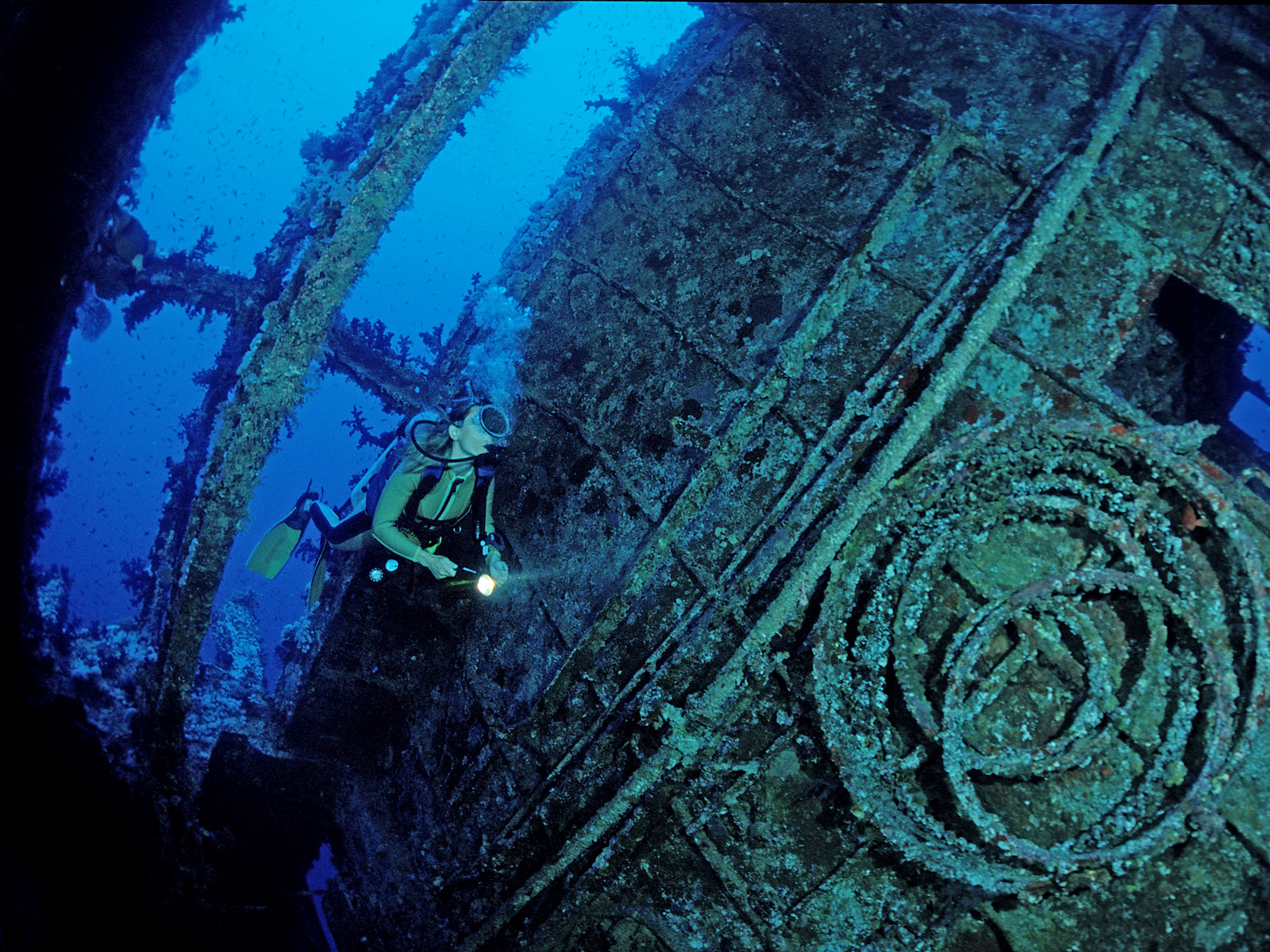 Scuba_Diving_Red_Sea