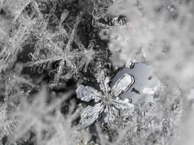 Snow_Flakes