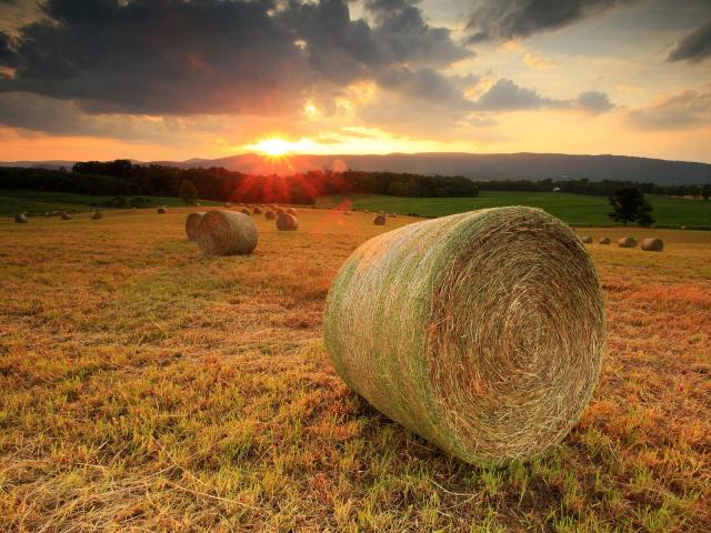 Summer_Sunset1