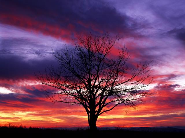 Sunset_Silhouette