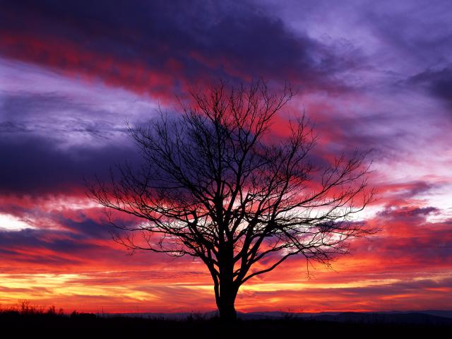 Sunset_Silhouette