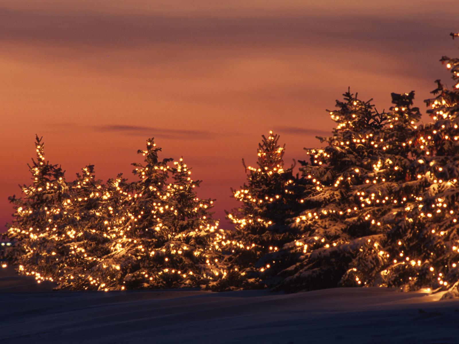Winter_Lights_Minnesota