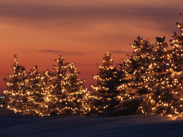 Winter_Lights_Minnesota