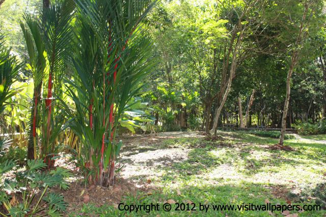 waphukaew12_023