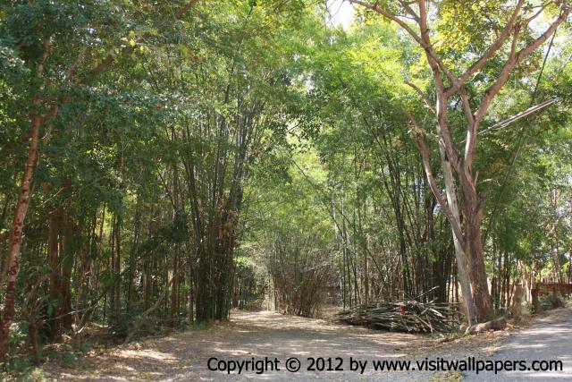 waphukaew12_048