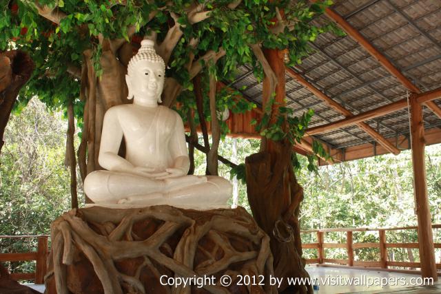waphukaew12_053