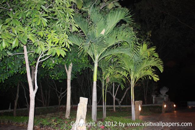 waphukaew12_089
