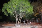 waphukaew12_108