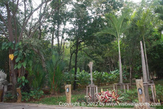 waphukaew12_158