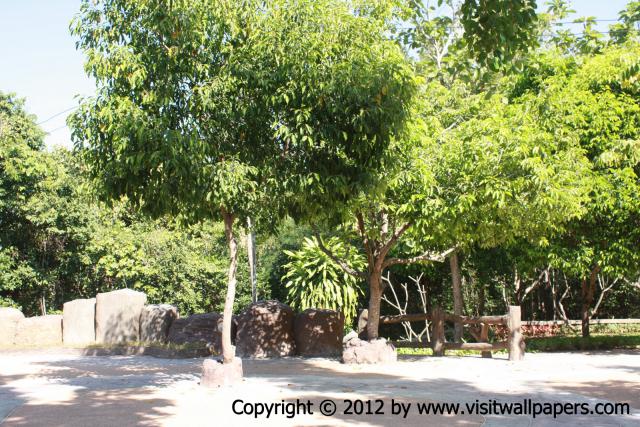 waphukaew12_192