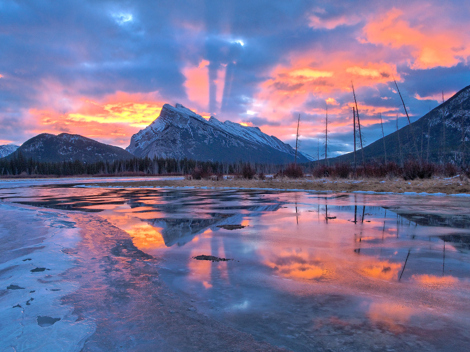Dawn_Light_Mount