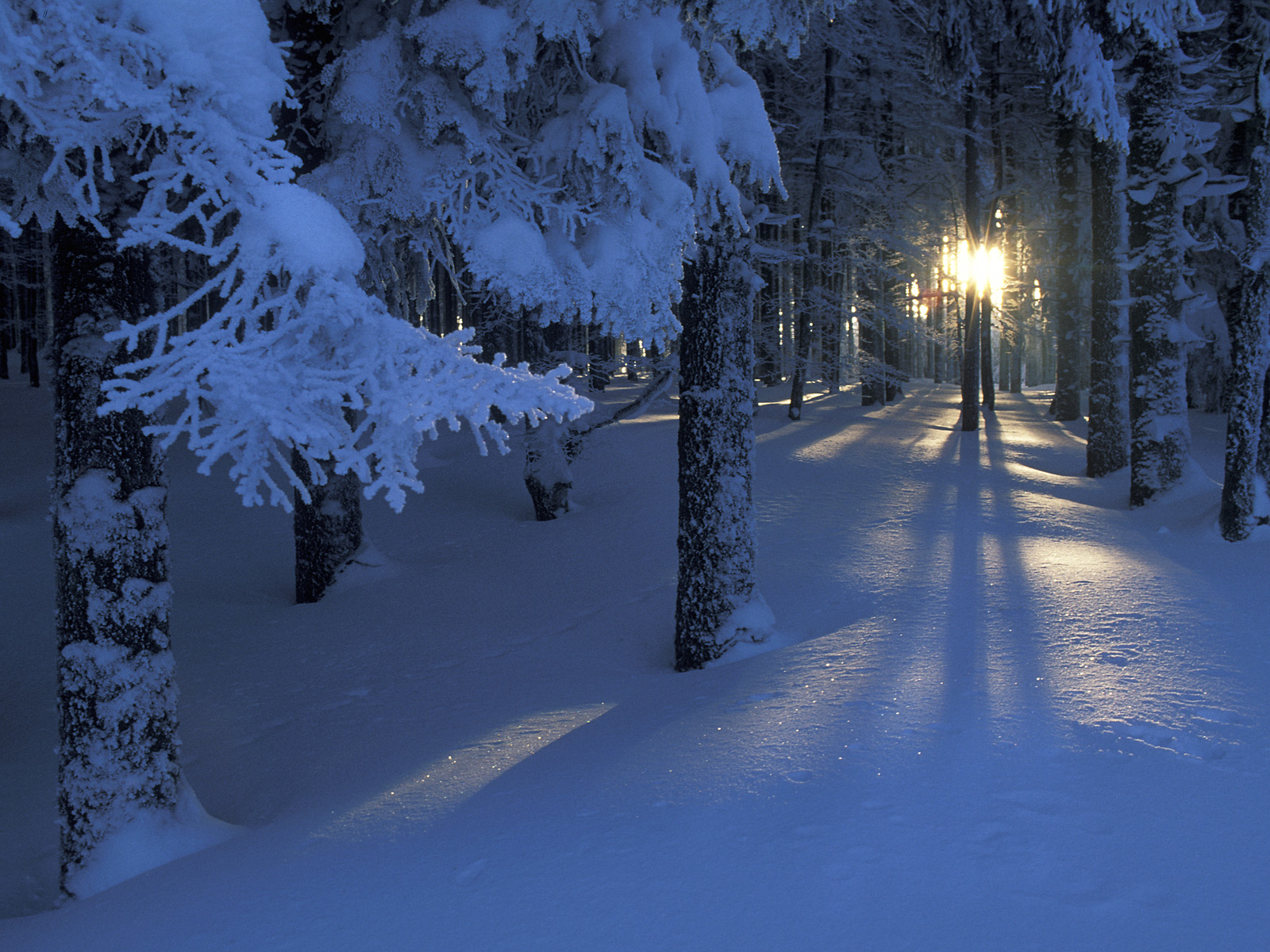 Peaceful_Season