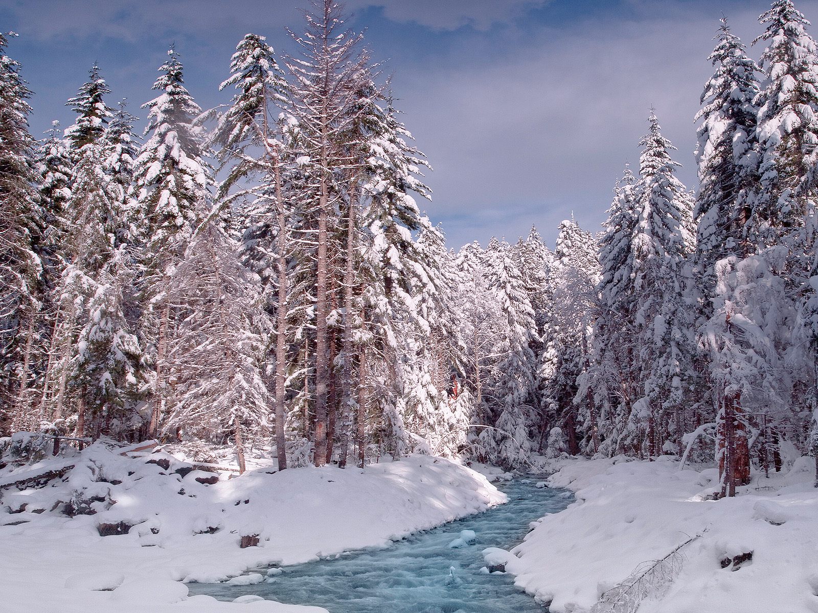 Rainier_Creek_in