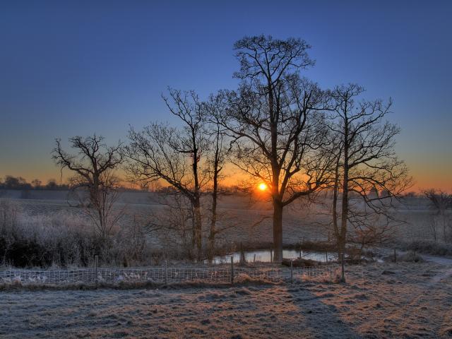 Winter_Sunrise